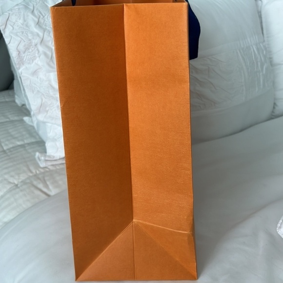 LOUIS VUITTON Gift/Shopping Bag - Picture 4 of 5